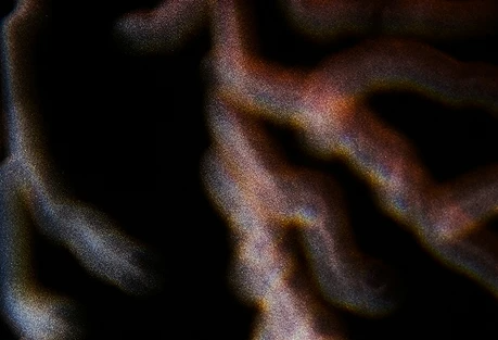 BH Alchemy — photo